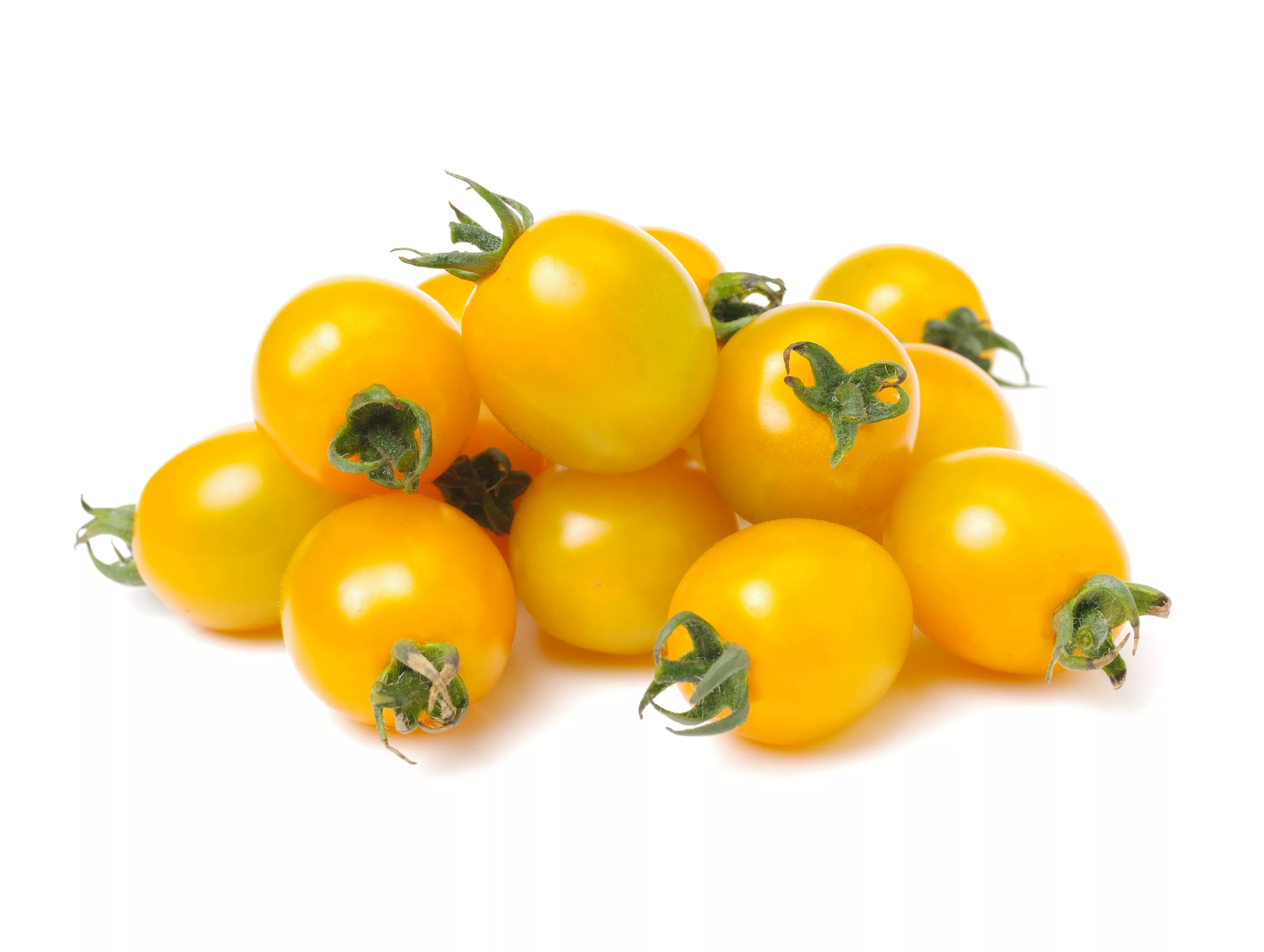 желтый помидор фото