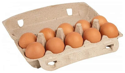 Яйцо куриное Пошехонское Отборная категория 10шт