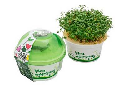 Набор для выращивания Моя микрозелень Кресс-салат 1шт